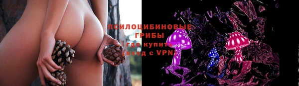 твердый Покровск