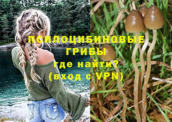 бошки Переславль-Залесский
