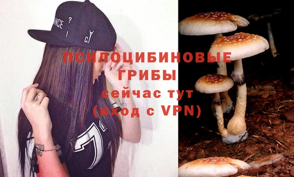 mdpv Пестово
