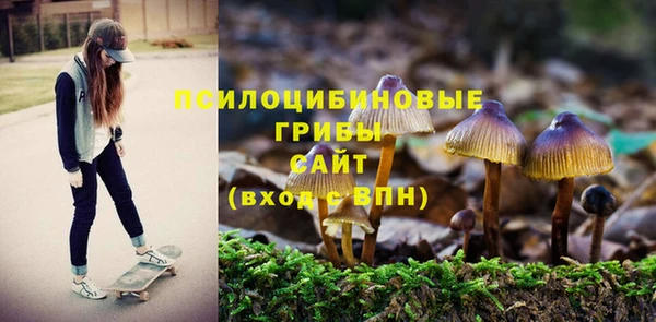 винт Покачи