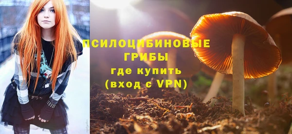 индика Хадыженск