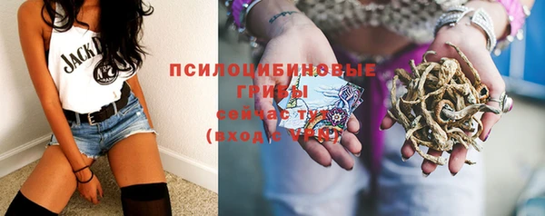 твердый Покровск