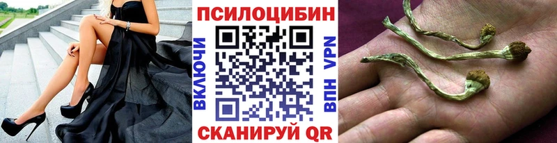 цена наркотик  Баймак  Галлюциногенные грибы Cubensis 